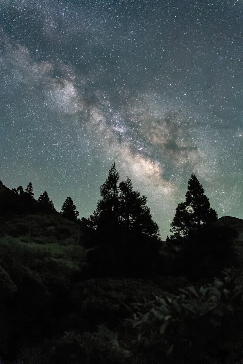 Starry night camping